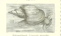 An illustration from Unser Wissen von der Erde. Allgemeine Erdkunde und Länderkunde, herausgegeben unter fachmännischer Mitwirkung von A. Kirchhoff (1886)