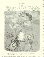 An illustration from Unser Wissen von der Erde. Allgemeine Erdkunde und Länderkunde, herausgegeben unter fachmännischer Mitwirkung von A. Kirchhoff (1886)