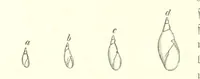 An illustration from Unser Wissen von der Erde. Allgemeine Erdkunde und Länderkunde, herausgegeben unter fachmännischer Mitwirkung von A. Kirchhoff (1886)