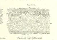 An illustration from Unser Wissen von der Erde. Allgemeine Erdkunde und Länderkunde, herausgegeben unter fachmännischer Mitwirkung von A. Kirchhoff (1886)