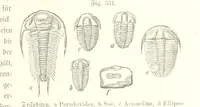 An illustration from Unser Wissen von der Erde. Allgemeine Erdkunde und Länderkunde, herausgegeben unter fachmännischer Mitwirkung von A. Kirchhoff (1886)