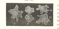 An illustration from Unser Wissen von der Erde. Allgemeine Erdkunde und Länderkunde, herausgegeben unter fachmännischer Mitwirkung von A. Kirchhoff (1886)
