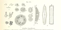 An illustration from Unser Wissen von der Erde. Allgemeine Erdkunde und Länderkunde, herausgegeben unter fachmännischer Mitwirkung von A. Kirchhoff (1886)