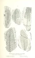 An illustration from Unser Wissen von der Erde. Allgemeine Erdkunde und Länderkunde, herausgegeben unter fachmännischer Mitwirkung von A. Kirchhoff (1886)