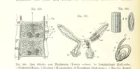 An illustration from Unser Wissen von der Erde. Allgemeine Erdkunde und Länderkunde, herausgegeben unter fachmännischer Mitwirkung von A. Kirchhoff (1886)