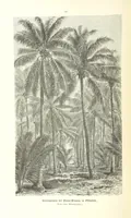 An illustration from Unser Wissen von der Erde. Allgemeine Erdkunde und Länderkunde, herausgegeben unter fachmännischer Mitwirkung von A. Kirchhoff (1886)