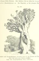 An illustration from Unser Wissen von der Erde. Allgemeine Erdkunde und Länderkunde, herausgegeben unter fachmännischer Mitwirkung von A. Kirchhoff (1886)