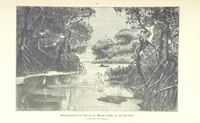 An illustration from Unser Wissen von der Erde. Allgemeine Erdkunde und Länderkunde, herausgegeben unter fachmännischer Mitwirkung von A. Kirchhoff (1886)