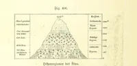 An illustration from Unser Wissen von der Erde. Allgemeine Erdkunde und Länderkunde, herausgegeben unter fachmännischer Mitwirkung von A. Kirchhoff (1886)