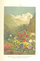 An illustration from Unser Wissen von der Erde. Allgemeine Erdkunde und Länderkunde, herausgegeben unter fachmännischer Mitwirkung von A. Kirchhoff (1886)