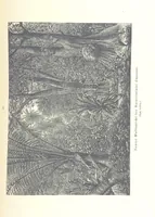 An illustration from Unser Wissen von der Erde. Allgemeine Erdkunde und Länderkunde, herausgegeben unter fachmännischer Mitwirkung von A. Kirchhoff (1886)