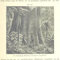 An illustration from Unser Wissen von der Erde. Allgemeine Erdkunde und Länderkunde, herausgegeben unter fachmännischer Mitwirkung von A. Kirchhoff (1886)