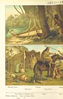 Picture 9 of 24 from Graphic Pictures of Native Life in distant lands, illustrating the typical races of mankind. Depicted by H. Leutemann. With ... text by ... A. Kirchoff [sic]. Translated from the German by G. Philip, Junr., etc (1888), leaf 50