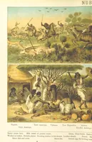 Picture 15 of 24 from Graphic Pictures of Native Life in distant lands, illustrating the typical races of mankind. Depicted by H. Leutemann. With ... text by ... A. Kirchoff [sic]. Translated from the German by G. Philip, Junr., etc (1888), leaf 76