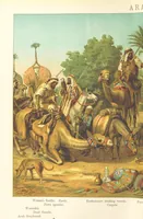 Picture 17 of 24 from Graphic Pictures of Native Life in distant lands, illustrating the typical races of mankind. Depicted by H. Leutemann. With ... text by ... A. Kirchoff [sic]. Translated from the German by G. Philip, Junr., etc (1888), leaf 84