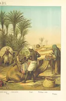 An illustration from Graphic Pictures of Native Life in distant lands, illustrating the typical races of mankind. Depicted by H. Leutemann. With ... text by ... A. Kirchoff [sic]. Translated from the German by G. Philip, Junr., etc (1888)