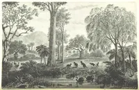 An illustration from School Geography (1891)