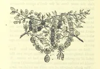 Picture 6 of 22 from The Way to Victory: the life-story of a brave boy. Edited by J. W. K (1890), leaf 170