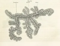 An illustration from Handbuch der Erdkunde (1859)