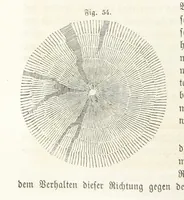 An illustration from Handbuch der Erdkunde (1859)