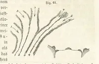 An illustration from Handbuch der Erdkunde (1859)