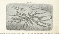 An illustration from Handbuch der Erdkunde (1859)