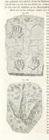 An illustration from Handbuch der Erdkunde (1859)