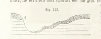 An illustration from Handbuch der Erdkunde (1859)