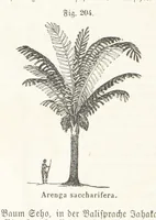 An illustration from Handbuch der Erdkunde (1859)