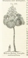 An illustration from Handbuch der Erdkunde (1859)