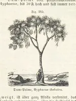 An illustration from Handbuch der Erdkunde (1859)