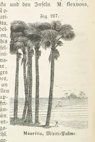 An illustration from Handbuch der Erdkunde (1859)