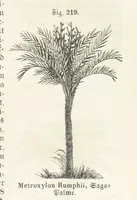 An illustration from Handbuch der Erdkunde (1859)
