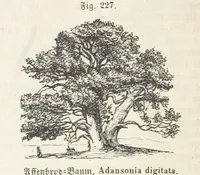 An illustration from Handbuch der Erdkunde (1859)