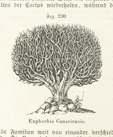 An illustration from Handbuch der Erdkunde (1859)