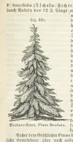 An illustration from Handbuch der Erdkunde (1859)