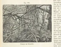 An illustration from Handbuch der Erdkunde (1859)