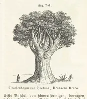 An illustration from Handbuch der Erdkunde (1859)