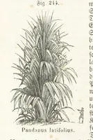 An illustration from Handbuch der Erdkunde (1859)