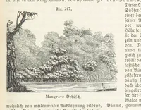 An illustration from Handbuch der Erdkunde (1859)