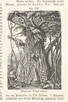 An illustration from Handbuch der Erdkunde (1859)