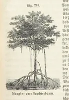 An illustration from Handbuch der Erdkunde (1859)
