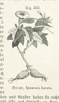 An illustration from Handbuch der Erdkunde (1859)