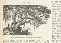 An illustration from Handbuch der Erdkunde (1859)