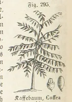An illustration from Handbuch der Erdkunde (1859)