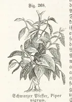 An illustration from Handbuch der Erdkunde (1859)