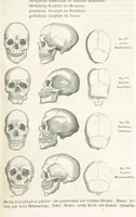 An illustration from Handbuch der Erdkunde (1859)