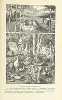 Picture 17 of 83 from Nederland en Oranje in beeld en schrift, etc (1895), leaf 145