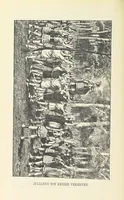 Picture 19 of 83 from Nederland en Oranje in beeld en schrift, etc (1895), leaf 166