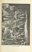 Picture 37 of 83 from Nederland en Oranje in beeld en schrift, etc (1895), leaf 351